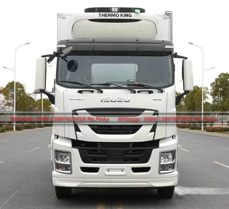 ISUZU GIGA Frozen Refrigerated Truck