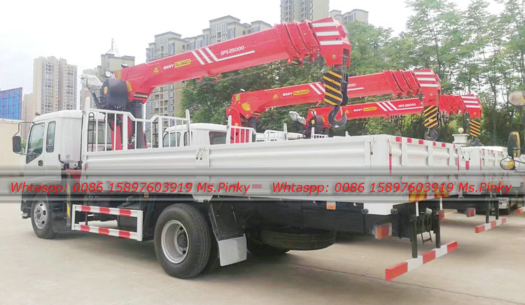 ISUZU FTR Truck With Crane 10Tons Sany Palfinger Loading Crane