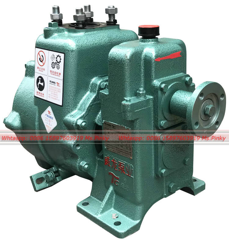 Water Pump 80QZB-60/90S