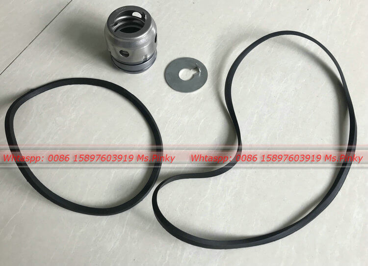 Seals of water pump 